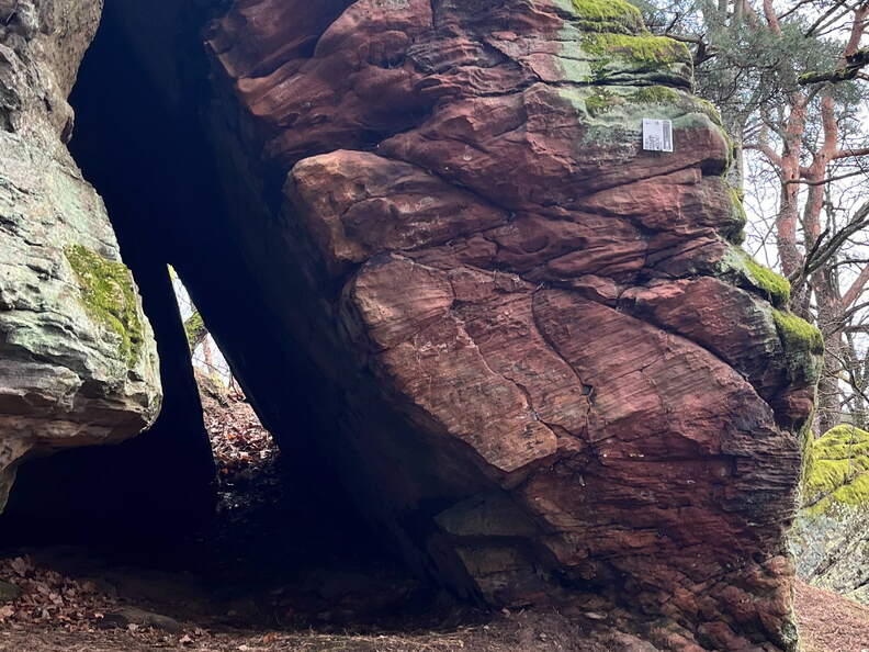 24-02-26 11-55-55 8695